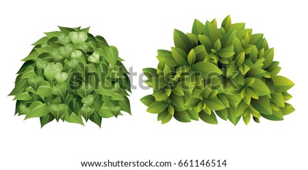 Bush Stock Images, Royalty-Free Images & Vectors | Shutterstock