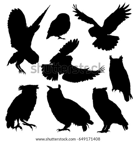 Owl Stock Vectors, Images & Vector Art | Shutterstock