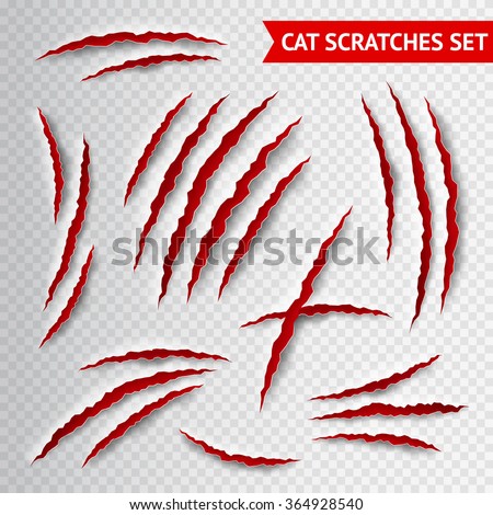 Cat claws scratches on transparent background realistic vector illustration - stock vector Cat claws scratches on transparent background realistic vector illustration - stock vector