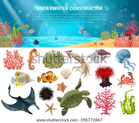 Sea life animals plants and landscape cartoon icons constructor set vector illustration - stock vector Sea life animals plants and landscape cartoon icons constructor set vector illustration - stock vector
