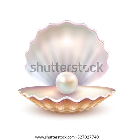 Finest quality beautiful natural open pearl shell close up realistic single valuable object image vector illustration Finest quality beautiful natural open pearl shell close up realistic single valuable object image vector illustration