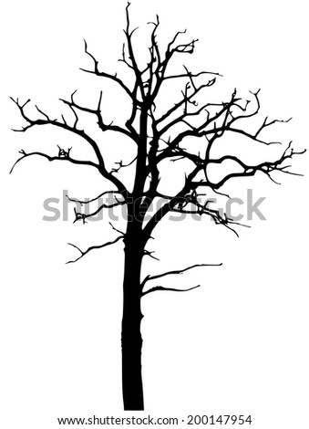 Tree Vector Stock Vector 18764143 - Shutterstock