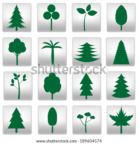 Evergreen Tree Stock Photos, Images, & Pictures | Shutterstock