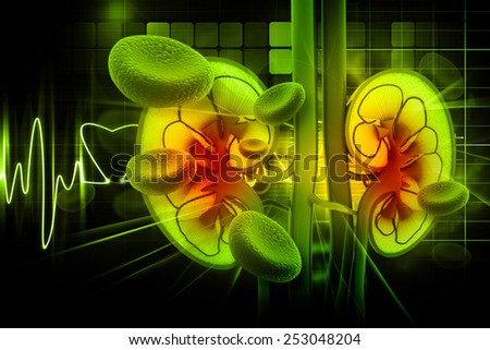an analysis of the trade of kidneys Global kidney dialysis equipment market this report provides in-depth analysis of the kidney global kidney dialysis equipment market, by equipment. an analysis of the trade of kidneys Global kidney dialysis equipment market this report provides in-depth analysis of the kidney global kidney dialysis equipment market, by equipment.
