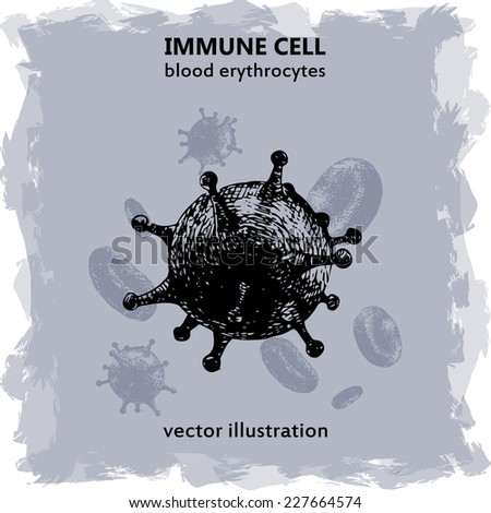 Immune System Stock Photos, Images, & Pictures | Shutterstock