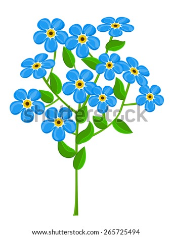 Forget-me-not Stock Photos, Royalty-Free Images & Vectors - Shutterstock