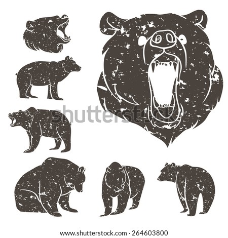 Bear Roar Stock Photos, Images, & Pictures | Shutterstock
