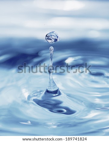 WATER DRIP - stock photo