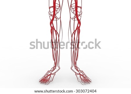 thesis circulatory system thesis circulatory system