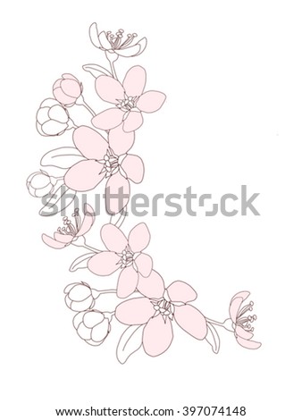 Branch Spring Blooming Flower Stock Vector 119438536 - Shutterstock