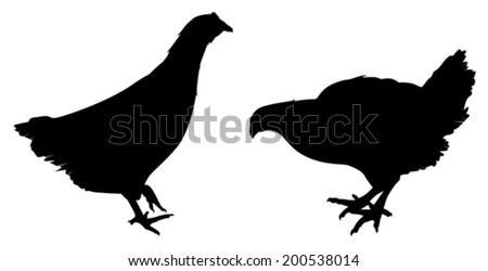Chicken Silhouette Stock Photos, Images, & Pictures | Shutterstock