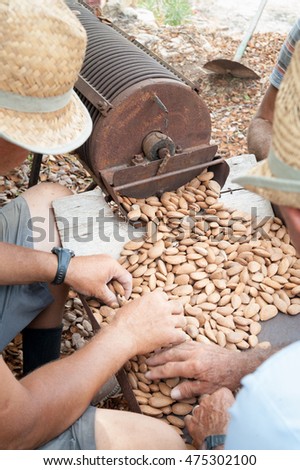 how to deshell pumpkin seeds how to deshell pumpkin seeds