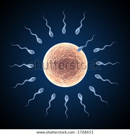 stock-photo-sperm-approaching-egg-on-a-dark-blue-background-1768651.jpg