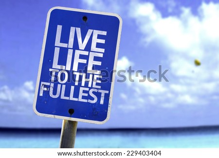 Live Life to the Fullest! (bumper sticker) Car Bumper Sticker | Zazzle