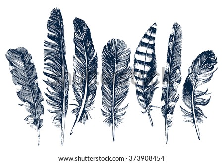 Feathers Stock Images, Royalty-Free Images & Vectors | Shutterstock