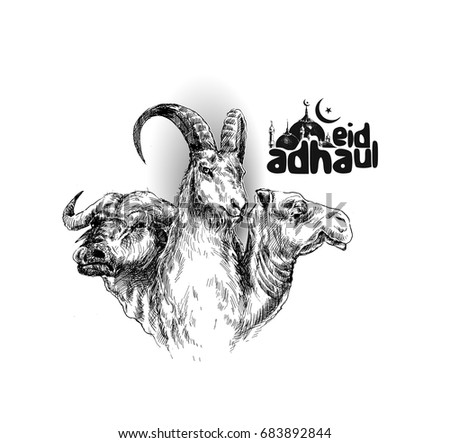 Sheep buffalo camel Poster Calligraphy of text of Eid Al Adha, Hand Drawn Sketch Vector illustration. Sheep buffalo camel Poster Calligraphy of text of Eid Al Adha, Hand Drawn Sketch Vector illustration.