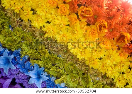 Rainbow Flower Stock Photos, Images, & Pictures | Shutterstock