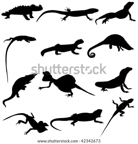 Various - Gecko Freestyle Hit Mix Collection Various - Gecko Freestyle Hit Mix Collection