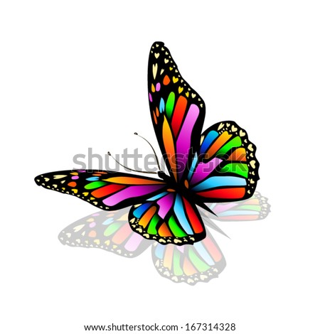 Rainbow Butterfly Logo Design Rainbow Butterfly Logo Design