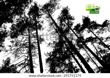 Pine Tree Silhouette Stock Photos, Images, & Pictures | Shutterstock