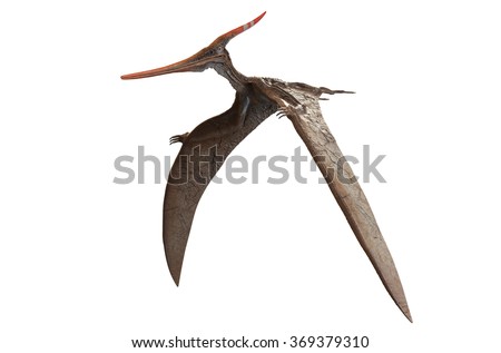 pteranodon wings