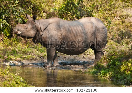 ... .com/pictures/l/1203614995/prehistoric-single-horned-wooly-rhino.jpg