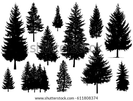 Detailed Vectoral Pine Tree Silhouettes Stock Vector 28325248
