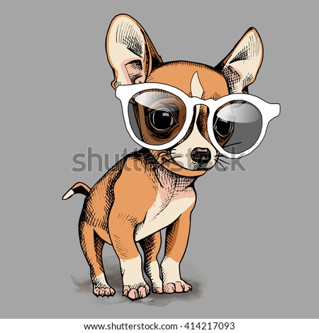 Chihuahua Stock Vectors, Images & Vector Art 