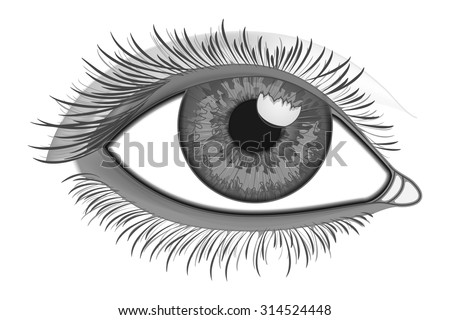 Simeon Stock Vectors, Images & Vector Art | Shutterstock