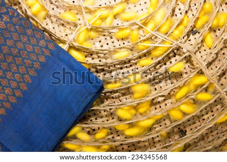 silkworms in the running man Genetically engineered silkworms that produce ultra-strong spider silk could be used to develop bulletproof clothing for the military. silkworms in the running man Genetically engineered silkworms that produce ultra-strong spider silk could be used to develop bulletproof clothing for the military.