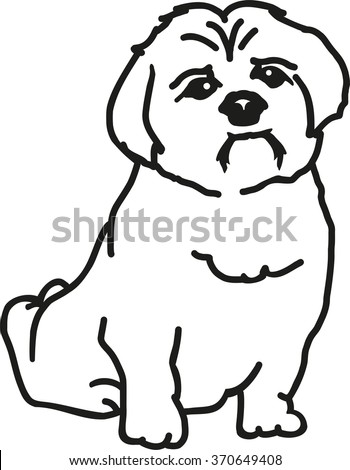 Shih tzu Stock Photos, Images, & Pictures | Shutterstock