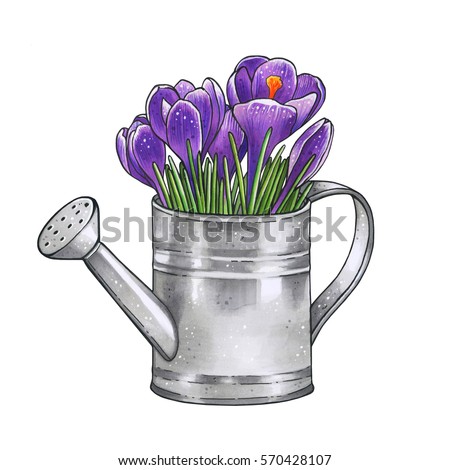 Watering-can Stock Images, Royalty-Free Images & Vectors | Shutterstock