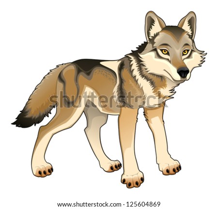 Wolf Vector Cartoon Isolated Character Stock Vector 125604869