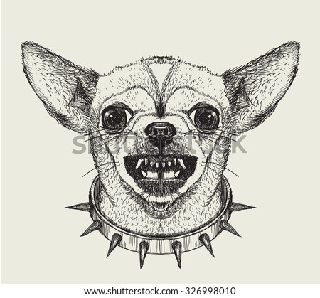 Cartoon Chihuahua Stock Photos, Images, & Pictures | Shutterstock