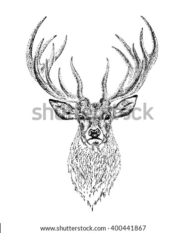 deer bust vector