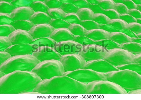 human skin cells stock photos human skin cells stock images alamy histology skin stock photos images pictures human skin cells stock photos human skin cells stock images alamy histology skin stock photos images pictures