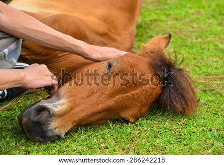 "lay_down" Stock Photos, Royalty-Free Images & Vectors - Shutterstock