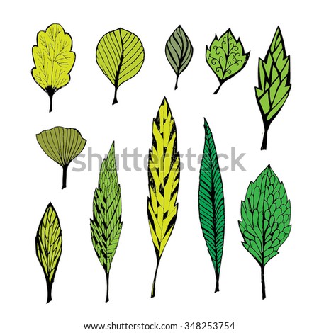 Collection Leaves Vector Set Stock Vector 107236661 - Shutterstock