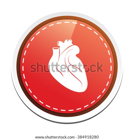 Heart Organ Stock Photos, Images, & Pictures | Shutterstock