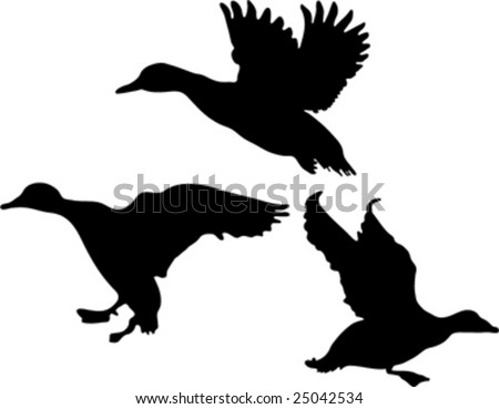 Duck silhouette Stock Photos, Images, & Pictures | Shutterstock