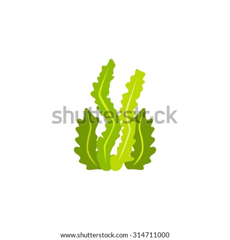 Seaweed Stock Vectors, Images & Vector Art | Shutterstock