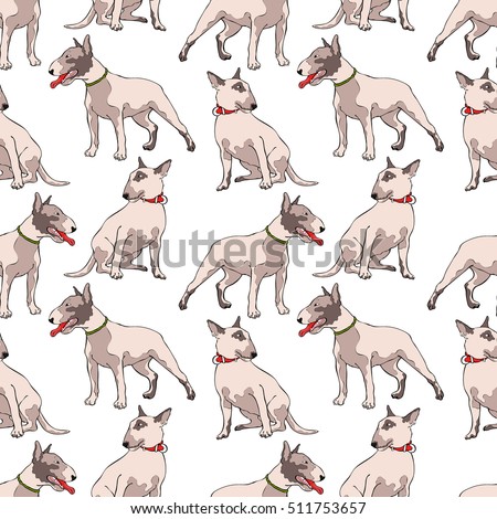 EwaNew's Portfolio on Shutterstock