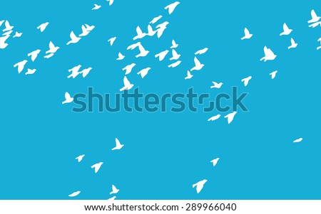 Flock Flying Seagulls Silhouette Stock Photos, Images, & Pictures