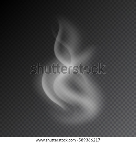 Smoke vector illustration on transparent background. Realistic smoke isolated. Vector smoke or vapor from electronic cigarettes Smoke vector illustration on transparent background. Realistic smoke isolated. Vector smoke or vapor from electronic cigarettes