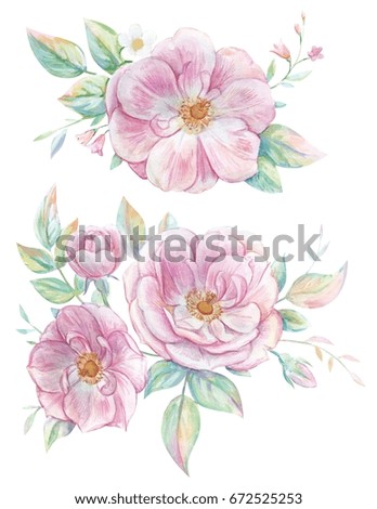 Brier Stock Images, Royalty-Free Images & Vectors | Shutterstock