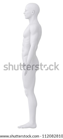 Male Anatomy Stock Photos, Images, & Pictures | Shutterstock