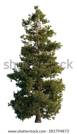 Pine-tree Stock Images, Royalty-Free Images & Vectors | Shutterstock