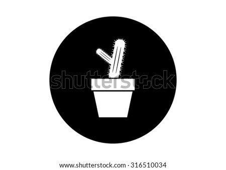 Cactus Collection Stock Vector 76876573 - Shutterstock