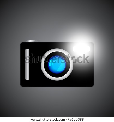 Camera Flash Stock Photos, Images, & Pictures | Shutterstock