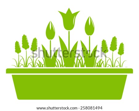 vector spring flowers in planter isolated on white background - stock 